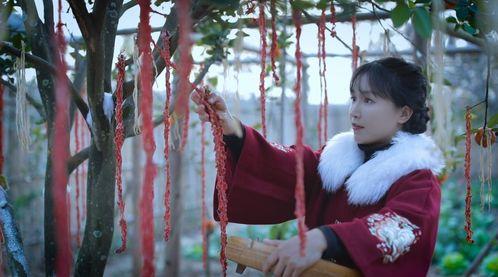 李子柒公司背景,传统农耕文化的传承与创新之旅